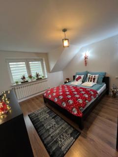 Apartament na poddaszu - Sandomierz - 8