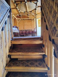 Shoka escape farm - 3