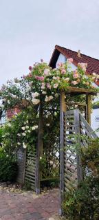 Yanni's Häuschen-Altes Land Ferienhaus - 7