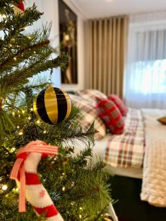 Apartamenty nad Starynką - Głuchołazy - 7