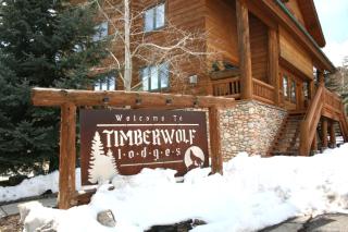 KBM Resorts Timber Wolf Lodge Mountain Elegance with Gas Fireplace Common Hot Tubs Near Canyons Village TWL-5b - 9