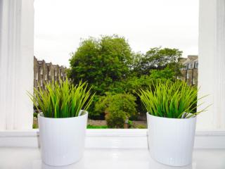Camden Habitat - London - 1