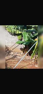 House Silvia & Nuno´s - 1