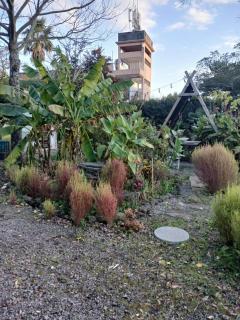 Garden in Jeju 201 - 2