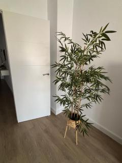 Trimar - Apartamento céntrico con garaje - 6