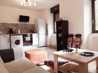 Foix centre - T2 vue sur le Château - 1