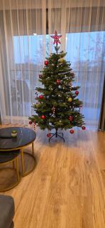 Žvejų gatvė 1 Telšiai - 9