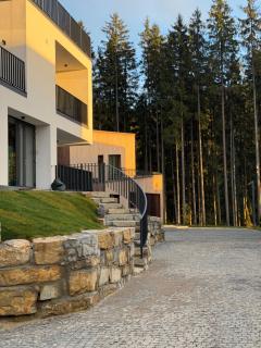 Chalet Velvet by Fomich - 7