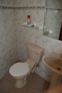 The Owl and Elephant Lodge - 4