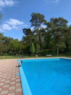 Natuurhuisje De Boshut - 9