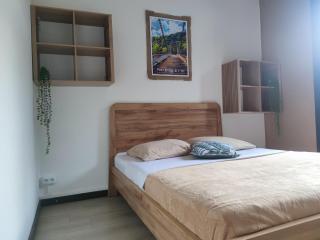 Le Lys Volcaneige - 1