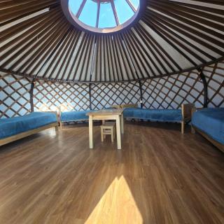 Nomad equestrian Luxury Ger camp - 9