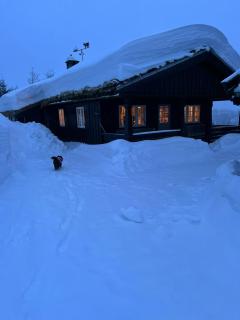 Mountain Cabin With Views And Close To Ski Trails - 7