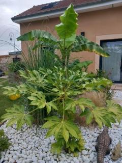 Gîte Les Séquoias avec piscine et sauna à 1h de Paris - Cierrey - 5