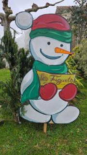 Les Figuets - Châteauneuf-de-Galaure - 0