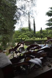 Posada La Lucía - 7