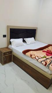 Shri Ladli ji homestay - 1