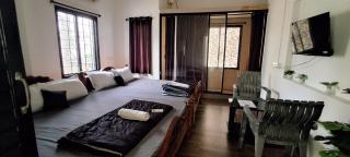 SALT beach resort classic - 6