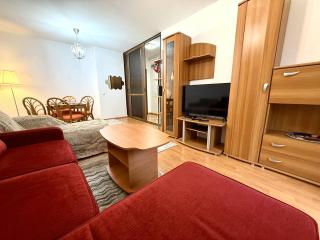 Adela Mountain View Sinaia - 7