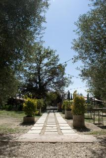 Château de Thégra - Balma - 9