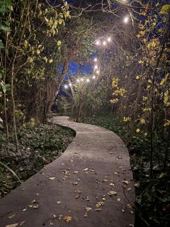 Idyllic cottage with wellness facilities - 5