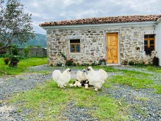 Guesthouse Vitoria - Mrizi i Zanave - 9