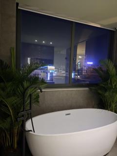 PIN Nguyen Cu Trinh - 8