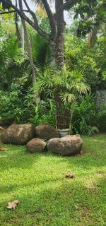 Guruwaththa Eco Lodge - 7