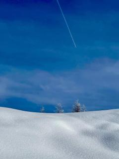 Gästehaus Seewinkel - 8