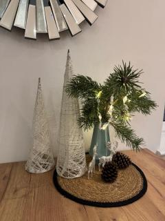 Gerika guest house - 4