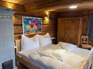 Haus Hainschneider- Zentrum Tauplitz - Tauplitz - 5