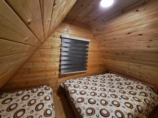 Evergreen cabins Golija - 1