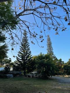 บ้านสวนชมดาว ปากช่อง - 4