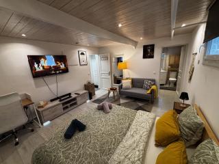 Cozy studio 2 steps from Geneva - 6