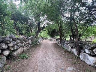 FINCA LA CARLA Posada de Altura - 7