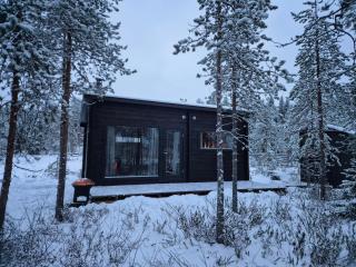 Sled-Dog Cabin - 1