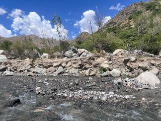 FINCA LA CARLA Posada de Altura - 3