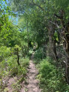 FINCA LA CARLA Posada de Altura - 5