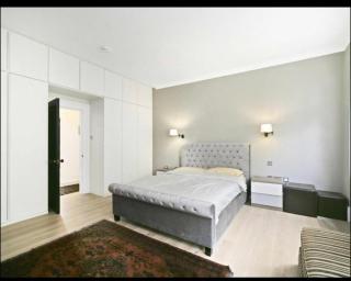 Luxury 3 Bed 3 Bath Hyde Park - 9