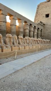 Luxor Nile palace - 5