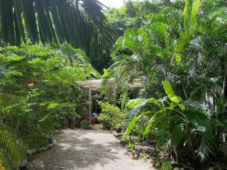 Casitas Escondidas - Playa Pelada - 6