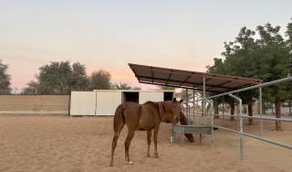Al Ain Farm Escape with Private Pool , Mini Golf , and Firepit - 1