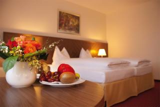 Morada Hotel Gifhorn - Gifhorn - 8
