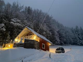 Forest house - Targanice - 9