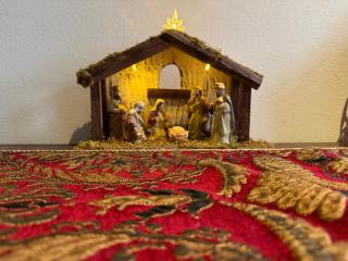 Macaw Guest House - 7