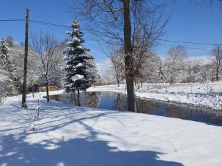 Two lakes heaven - Forest Retreat by The Mountains - 6