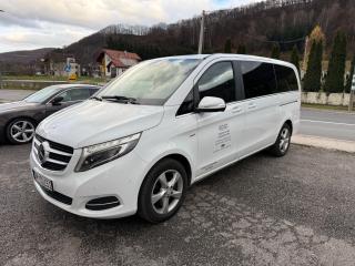 Rooms & Spa BJELASICA - 9