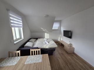 Apartmán pod Blatenským vrchem - 9
