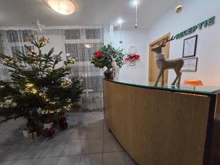 Pensiunea Valea Alba - 7