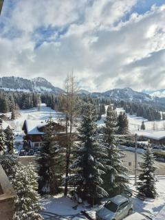 Hotel des Alpes Superieur - 7